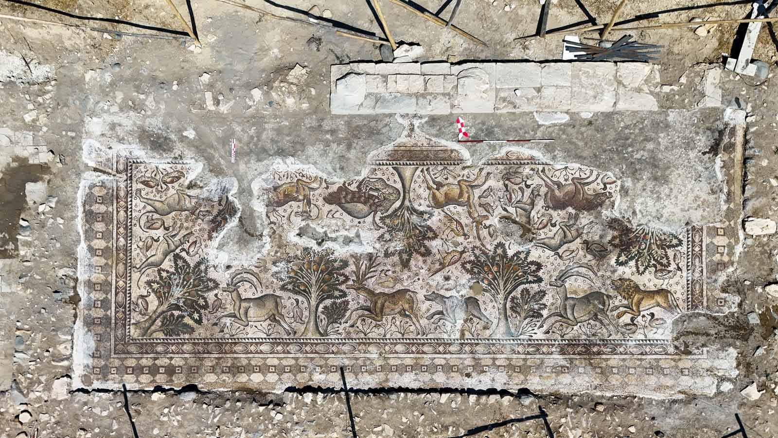 Tarihe işık tutan proje ‘yerin altındaki bütün cevherleri Çıkarıyoruz’ salkaya’da